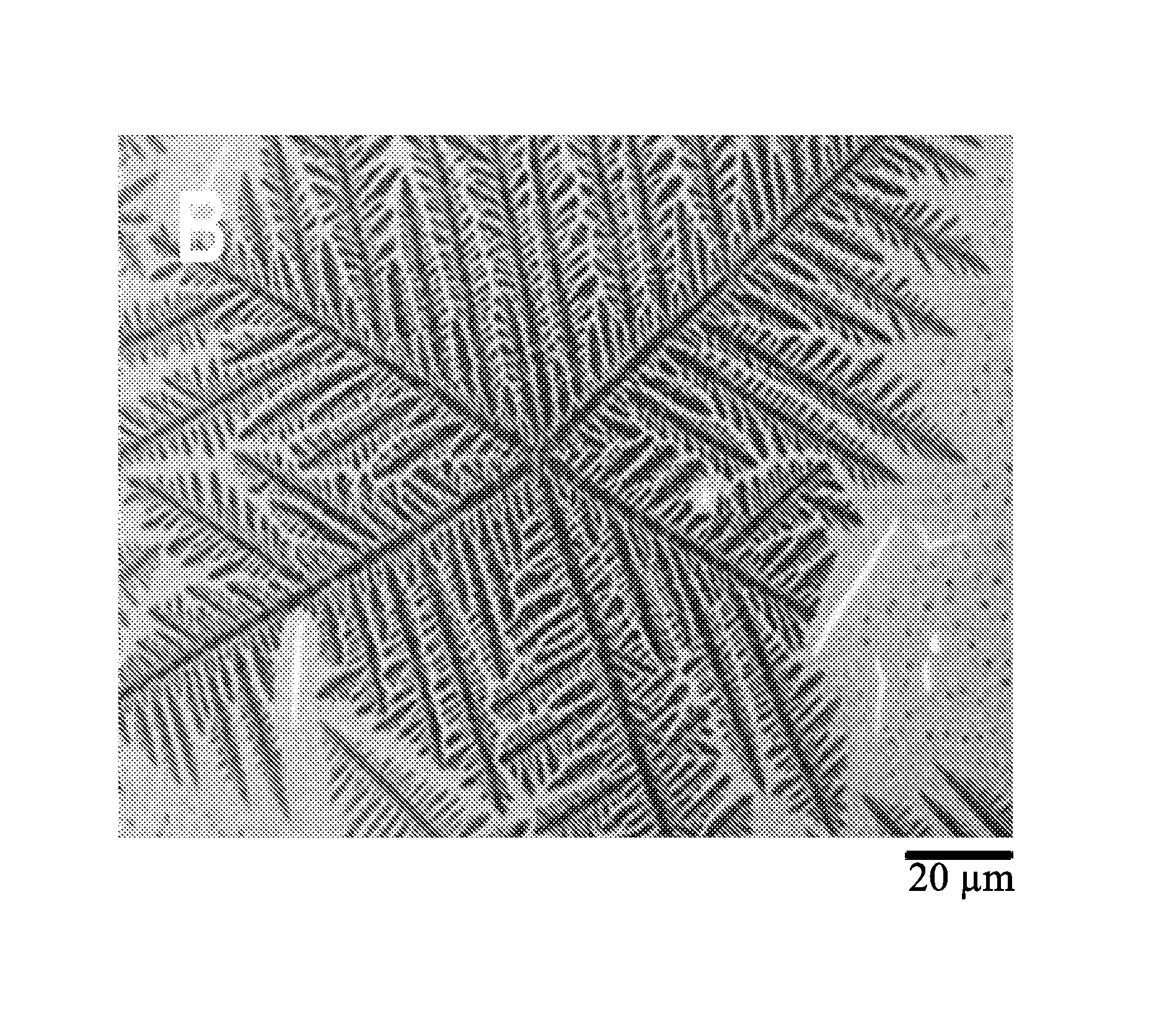 Graphene and its growth