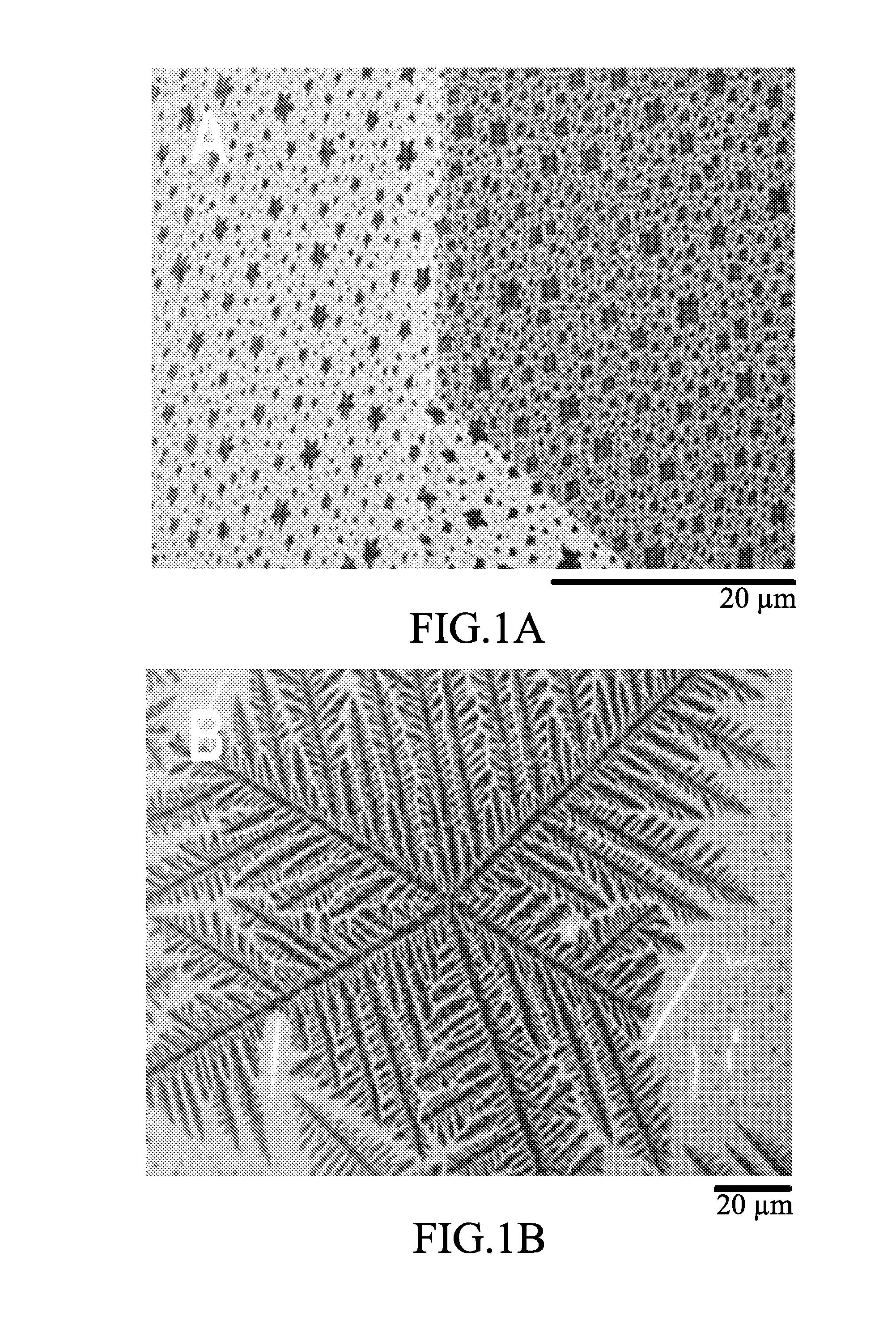 Graphene and its growth