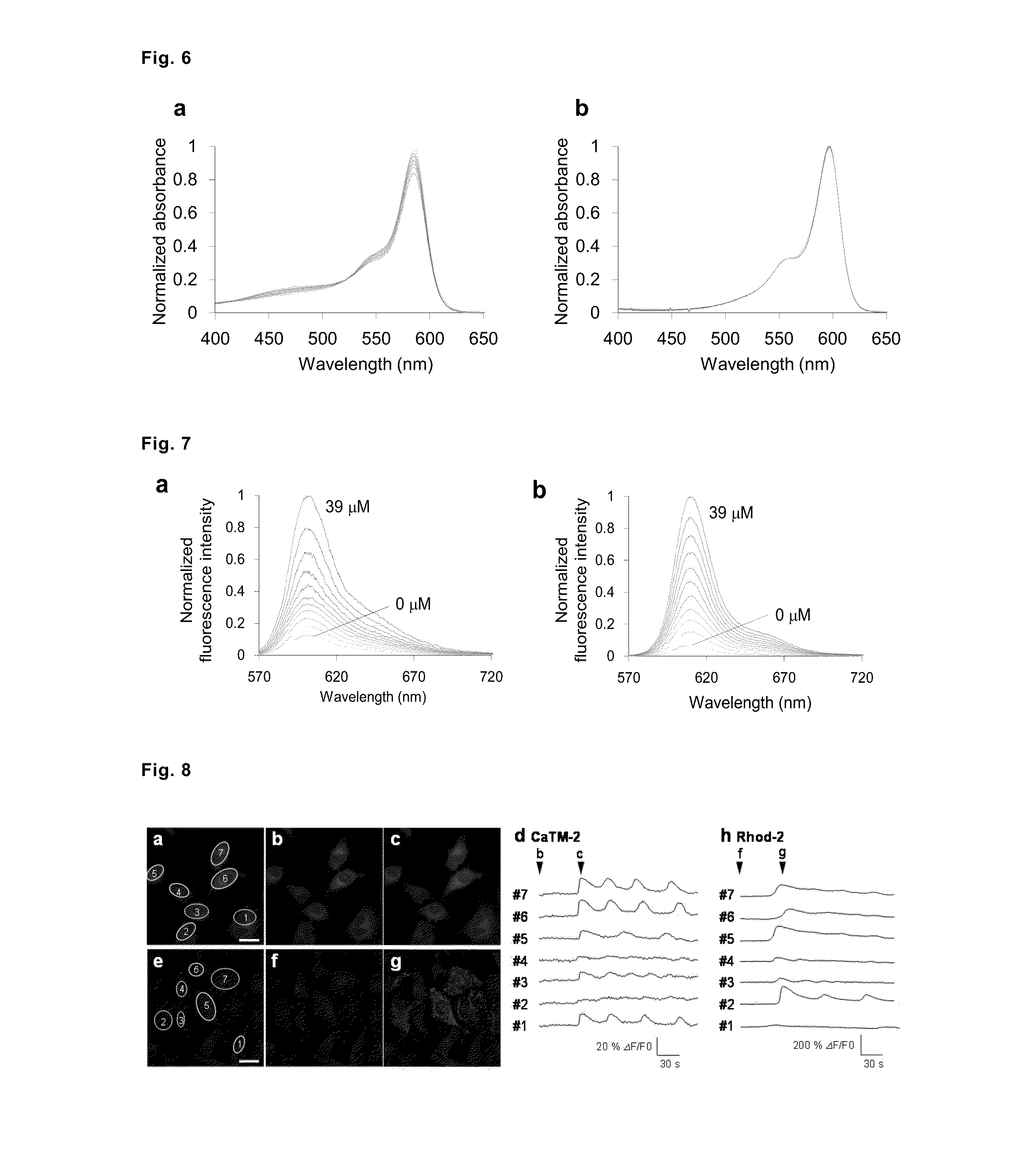 Fluorescent probe