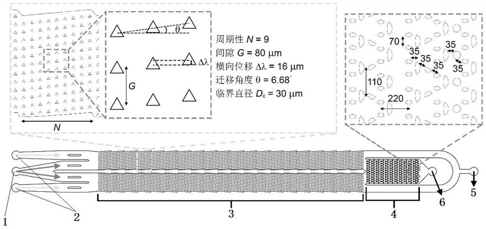 Deterministic lateral displacement micro-fluidic chip for separating magnetic beads from in-vitro blood