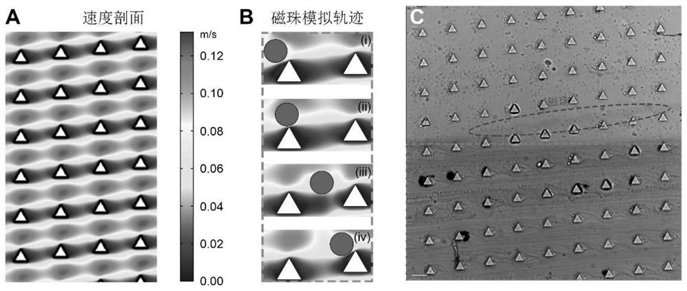 Deterministic lateral displacement micro-fluidic chip for separating magnetic beads from in-vitro blood