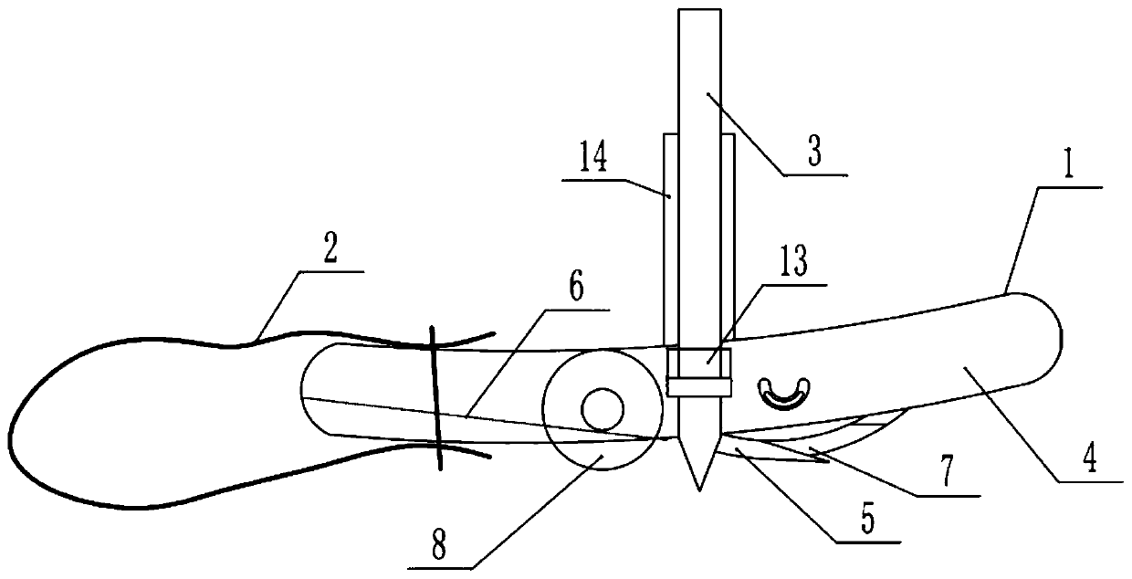 Rotary soil crust collection device used in karst region and application method thereof