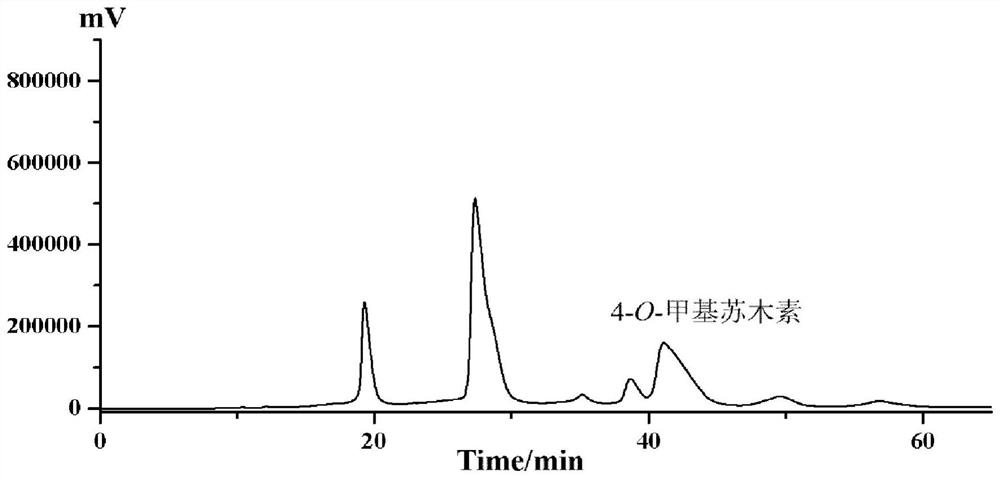 Method for preparing 4-O-methyl hematoxylin through separation