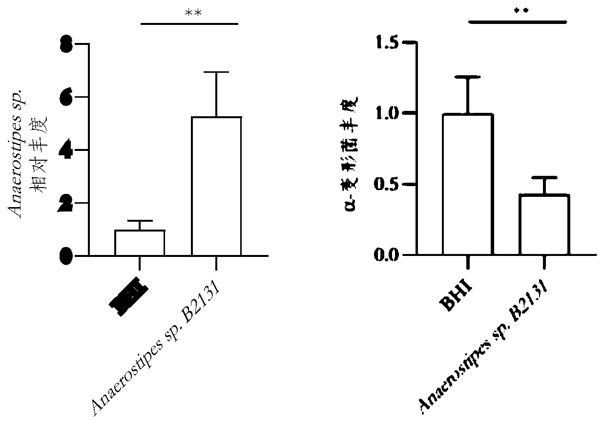 Strain Anaerostipes sp B2131 and application thereof in inflammatory intestinal diseases