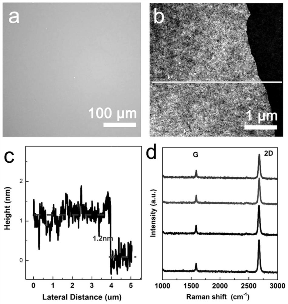 A method for efficiently eliminating the wrinkles of graphene by chemical vapor deposition