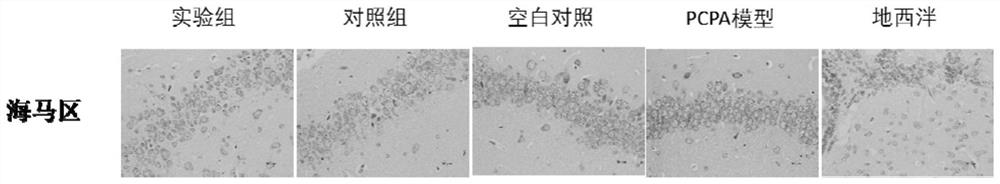 Composition containing picea melanocarpa extract and sleep-aiding product