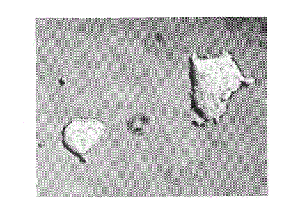 Compositions and methods for re-programming cells without genetic modification for treatment of neurological disorders