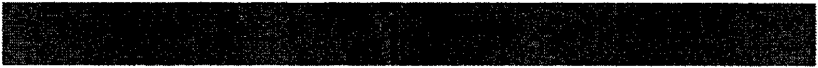 Optical anode used for hydrogen production by photoelectrochemistry decomposition water and preparation method thereof