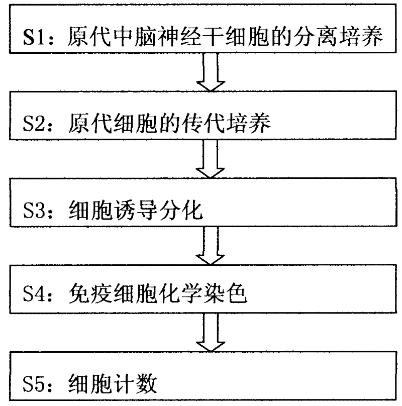 In-vitro separation culture and differentiation method for human fetal midbrain nerve stem cells