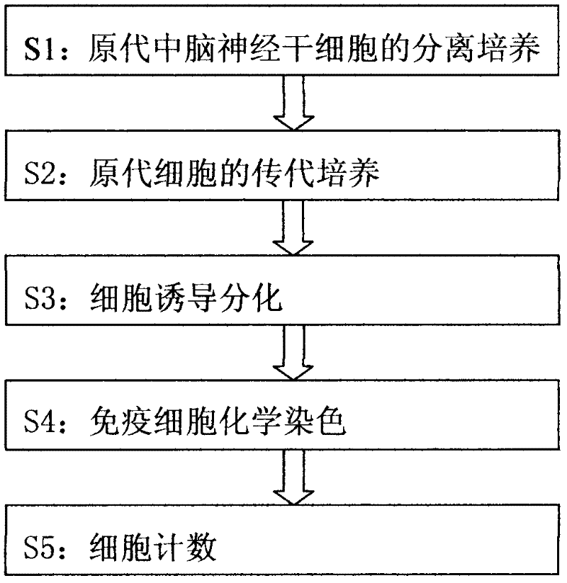 In-vitro separation culture and differentiation method for human fetal midbrain nerve stem cells