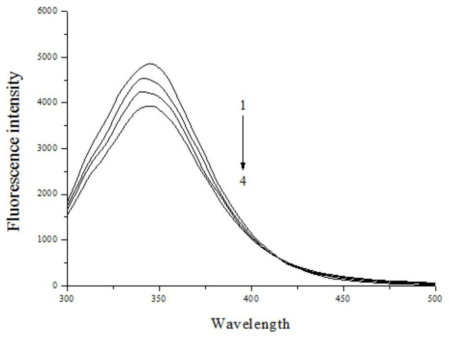 Application of lentinus edodes mycelium polysaccharide in preparing medicine for inhibiting amylase activity