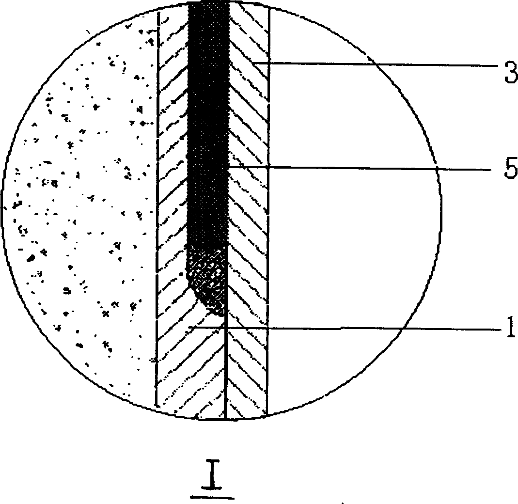 Core level monitoring device for reactor