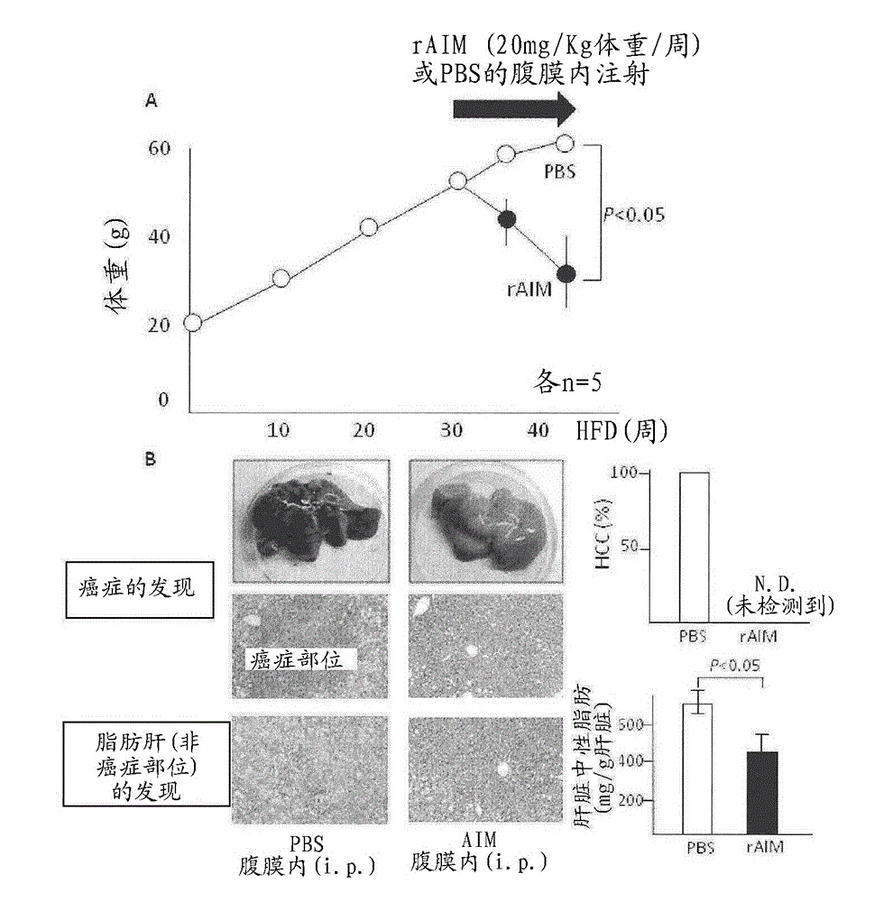 Prophylactic or therapeutic agent for hepatic diseases