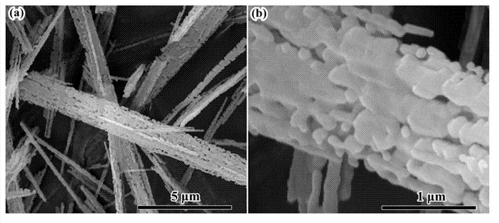 Preparation method of sulfur-containing carbon material as well as sulfur-containing carbon material prepared by using same