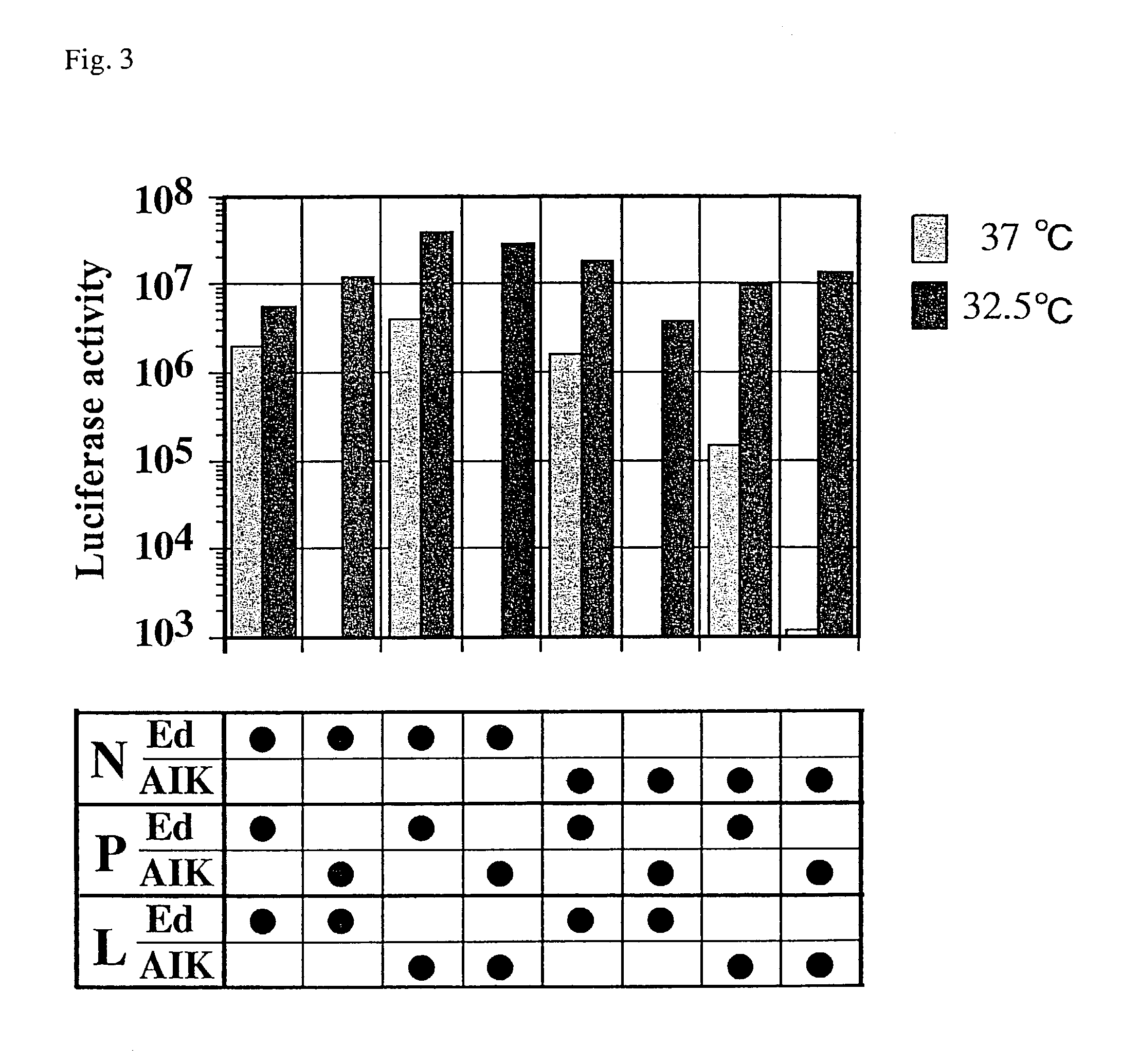 Method for producing temperature-sensitive morbillivirus