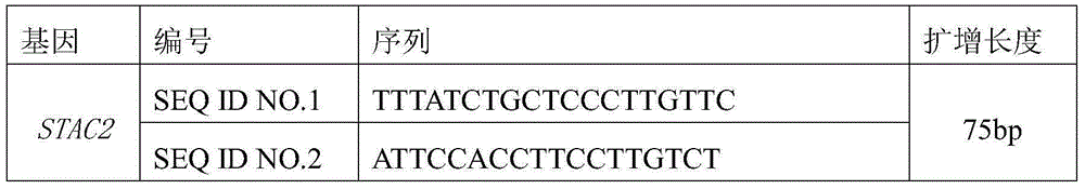 Application of STAC2 gene and STAC2 gene coding protein in inhibition of pelvic organ prolapse