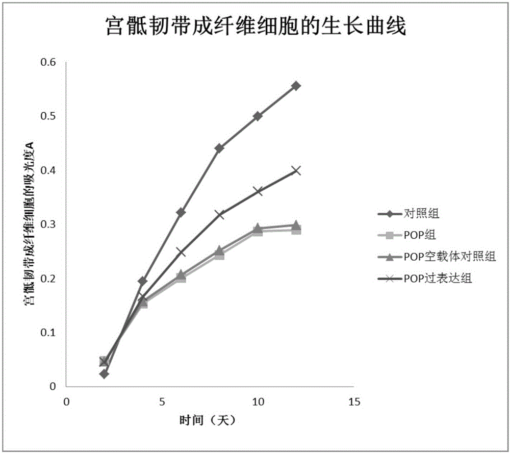 Application of STAC2 gene and STAC2 gene coding protein in inhibition of pelvic organ prolapse