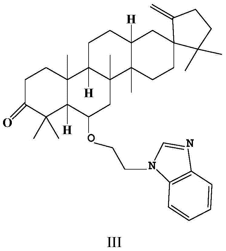 Application of O-(benzimidazolyl) ethyl derivative of cleistanthus sumatranus ketone in preparation of drug for curing or preventing renal fibrosis