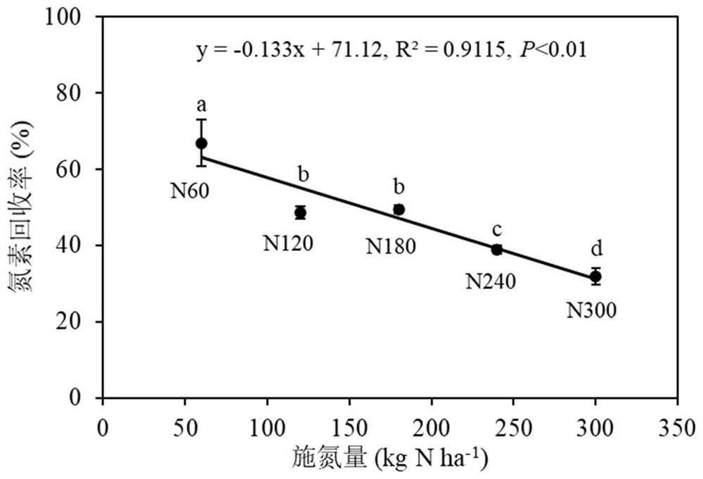 Radish nitrogen fertilizer recommendation method for coordinating agronomy and environment