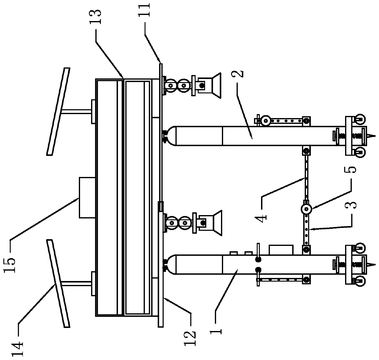 Cultivation process of eriobotrya japonica