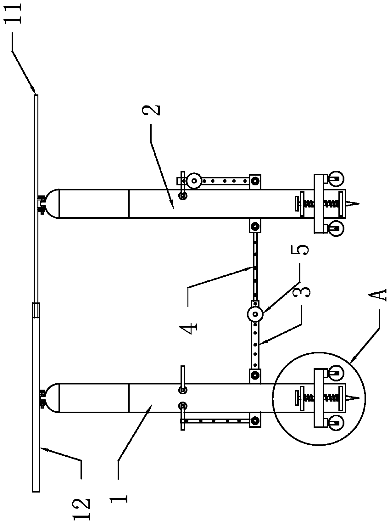 Cultivation process of eriobotrya japonica