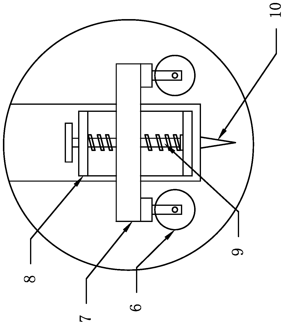 Cultivation process of eriobotrya japonica