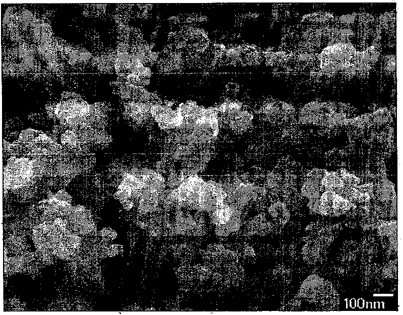 Method for synthesizing Beta molecular sieve by organic-free template