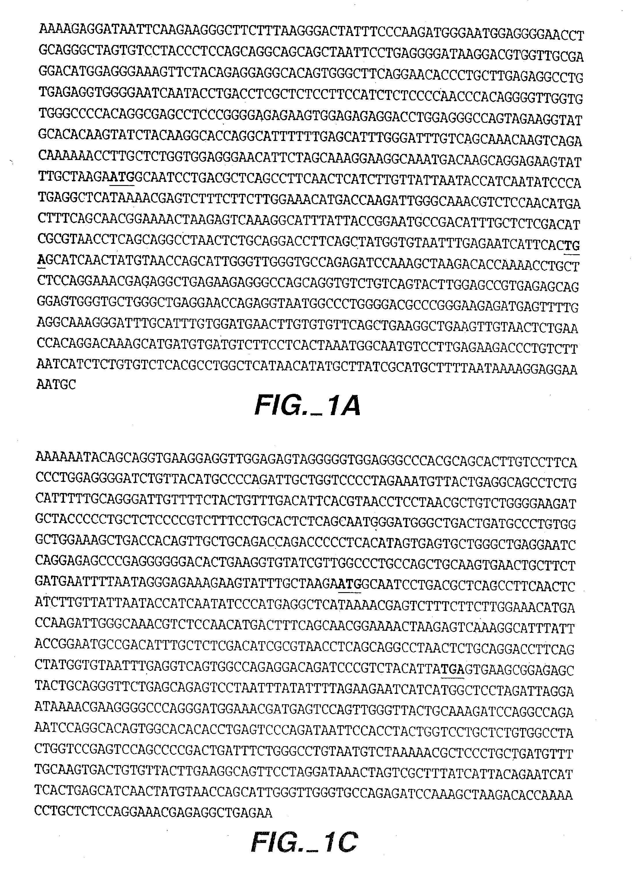 Ns4 nucleic acids and polypeptides and methods of use for the treatment of body weight disorders