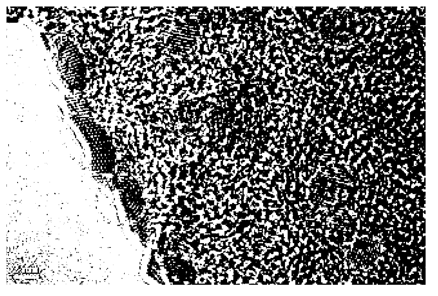 Method for preparing graphene quantum dot powder on large scale