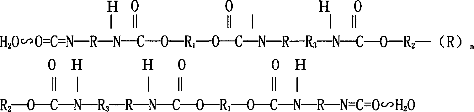 Acrylic acid-epoxy resin modified aqueous polyurethane preparation method