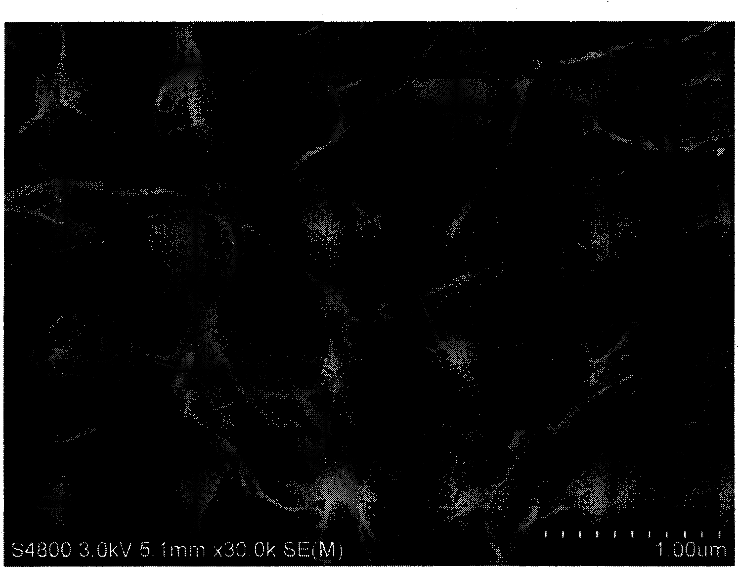 Bacterial cellulose carbon paste electrode and preparation method thereof