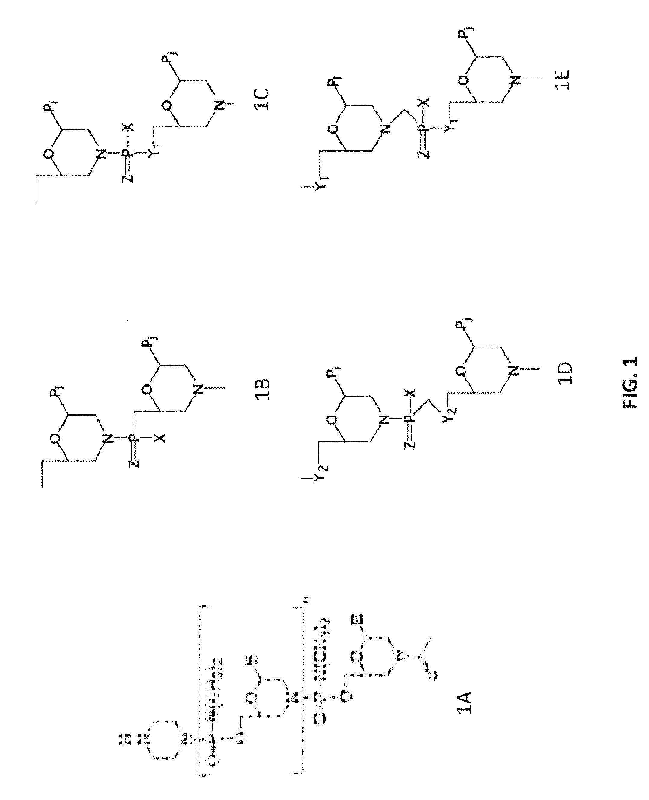 Antisense antibacterial compounds and methods