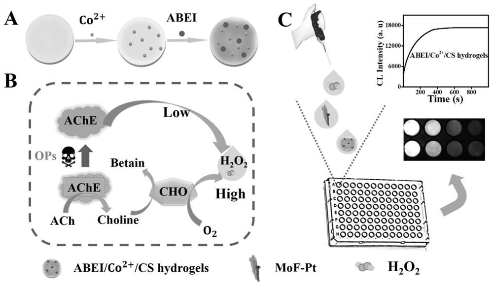 Glow-type chemiluminescent sensor based on hydrogel and its preparation method and application