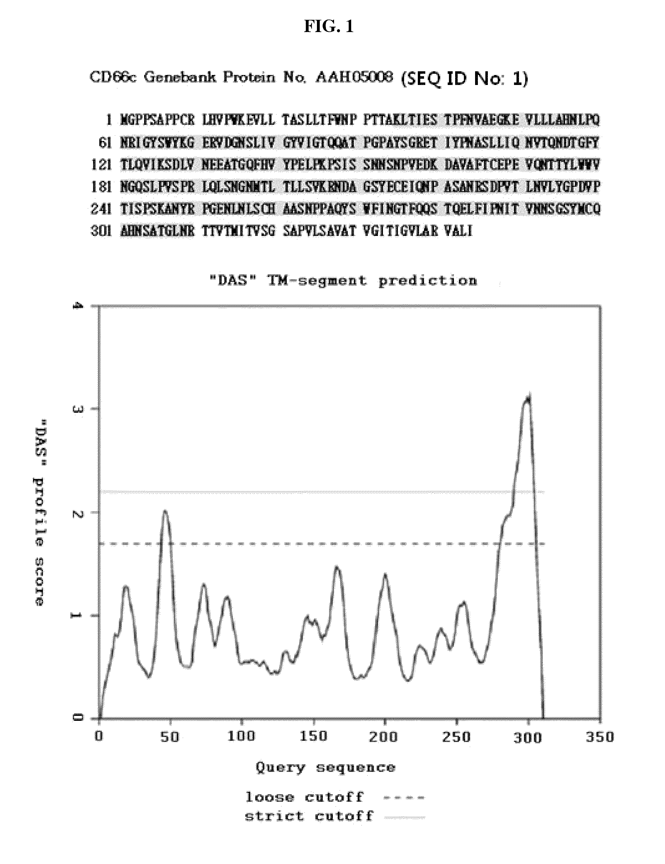 Epitope of CD66C specific to lung adenocarcinoma and antibody recognizing the same