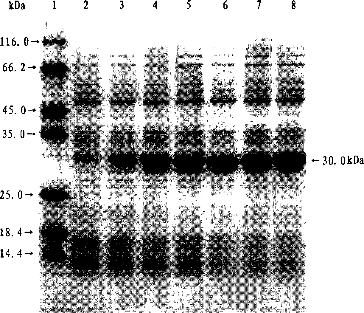 Di-carbonyl reduction enzyme, its gene and uses thereof