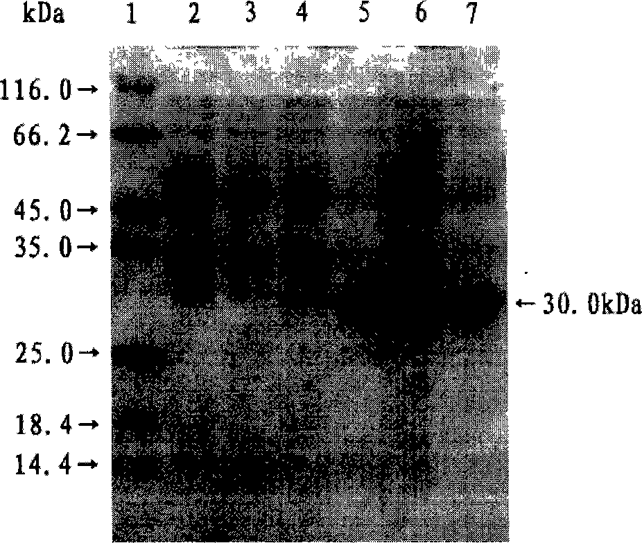 Di-carbonyl reduction enzyme, its gene and uses thereof