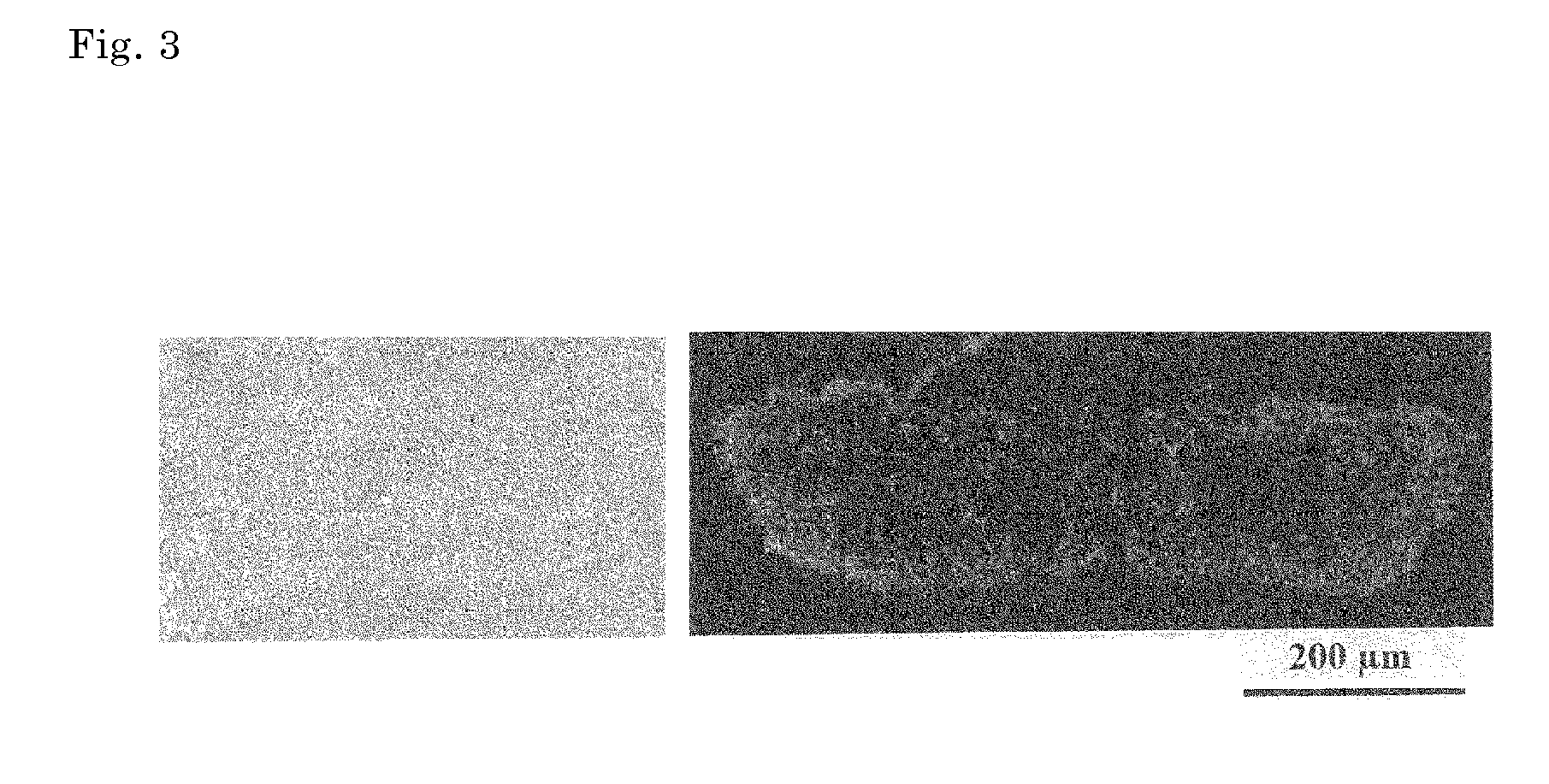 Vascular progenitor cell sheet derived from induced pluripotent stem cells, and production method therefor