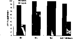 Method for preparing high-efficiency antioxidant potato protein antioxidant peptide