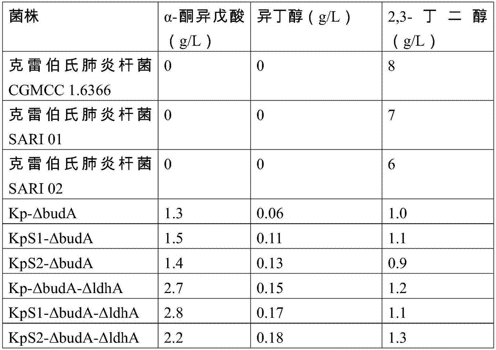 Method for preparing alpha-ketoisovaleric acid and isobutanol by adopting klebsiella pneumoniae