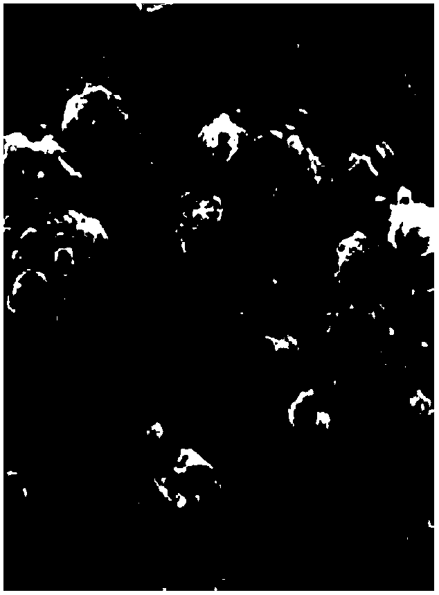 Orally disintegrating domperidone tablet for children and preparation method thereof