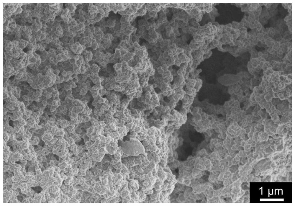 A kind of carbonization method of polyolefin