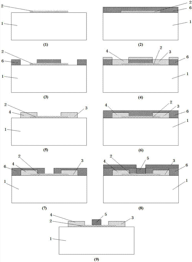 Schottky gate field effect transistor and preparation method and application thereof