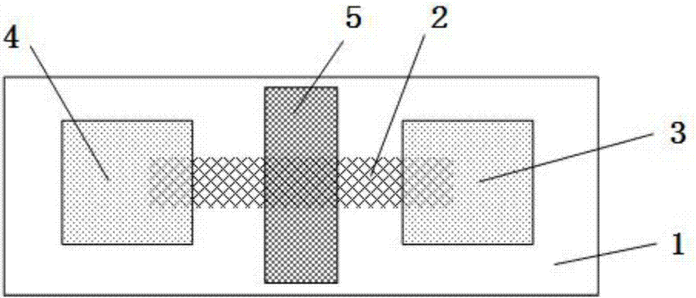 Schottky gate field effect transistor and preparation method and application thereof