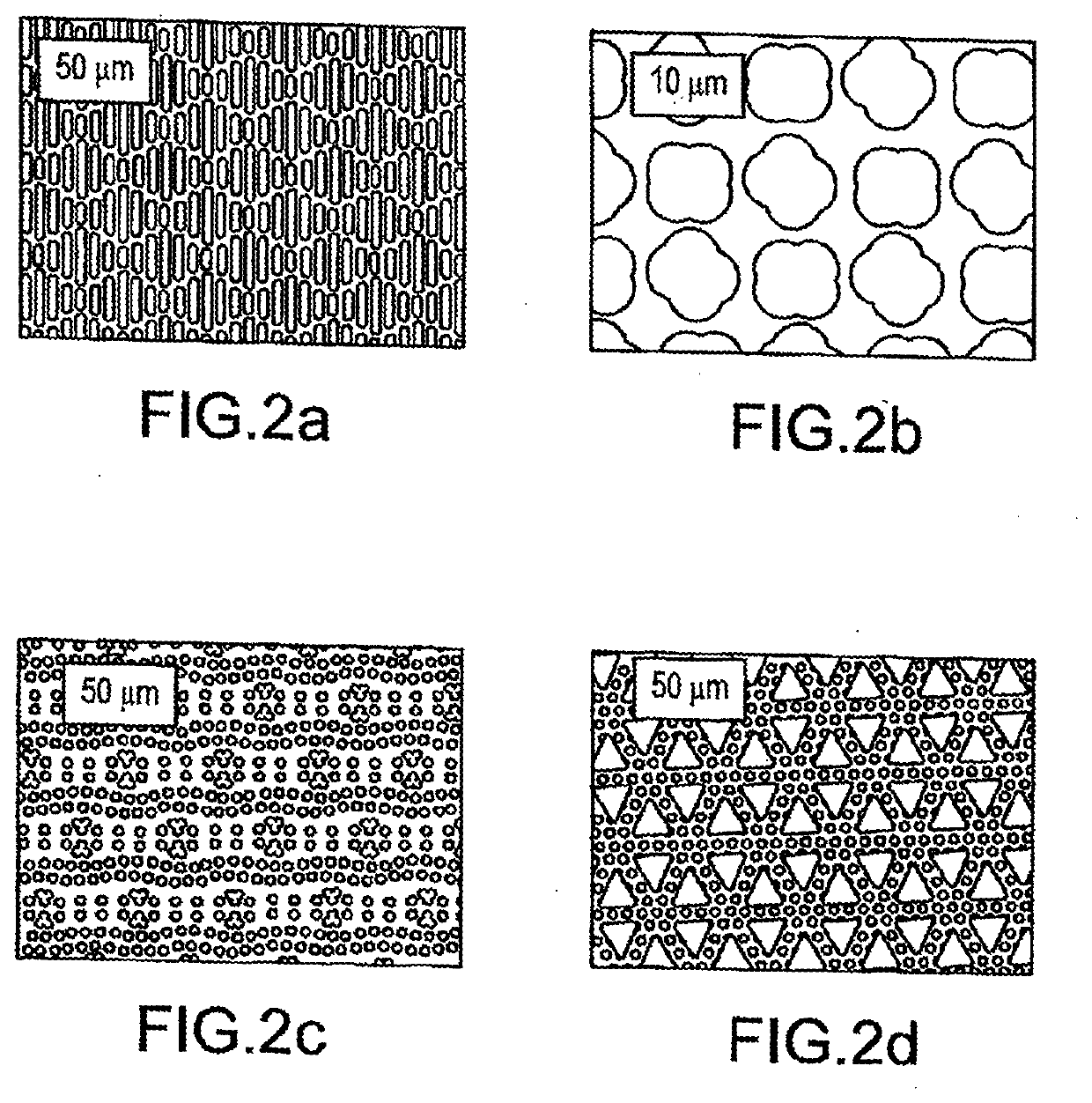 Method and System for Reducing the Likelihood of a Porphyromonas Gingivalis Infection in a Human Being