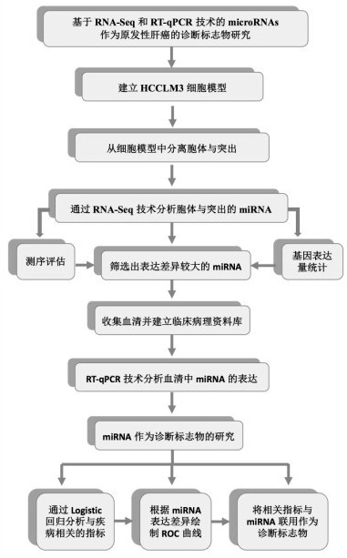 A serum-specific biomarker for diagnosing primary liver cancer and its screening method and application