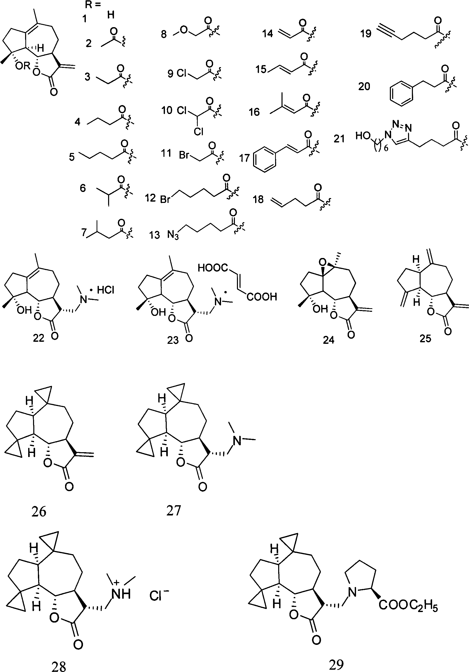 Sesquiterpene lactone compound and uses of derivative thereof in preparation of drugs