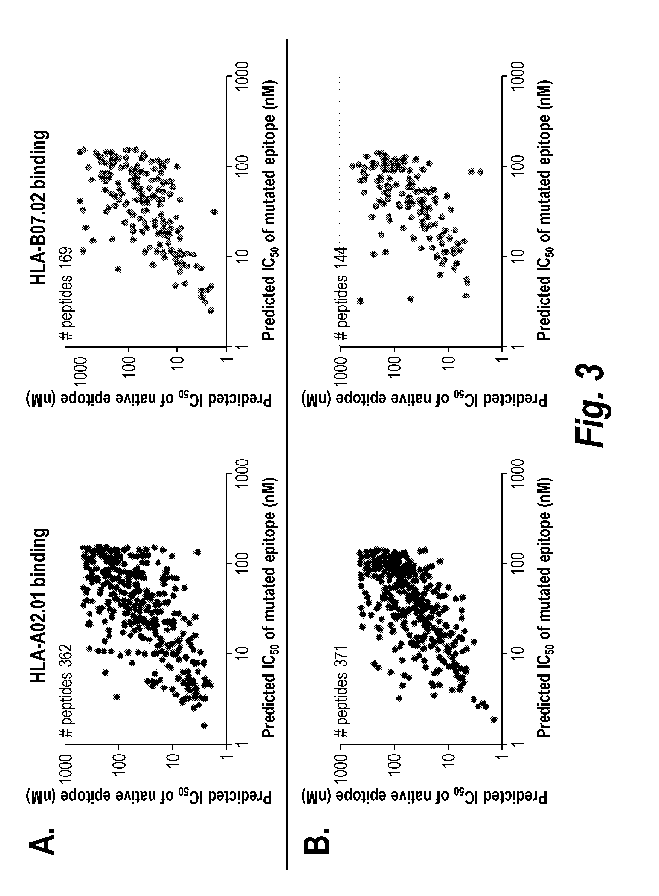 Vaccines for treatment and prevention of cancer