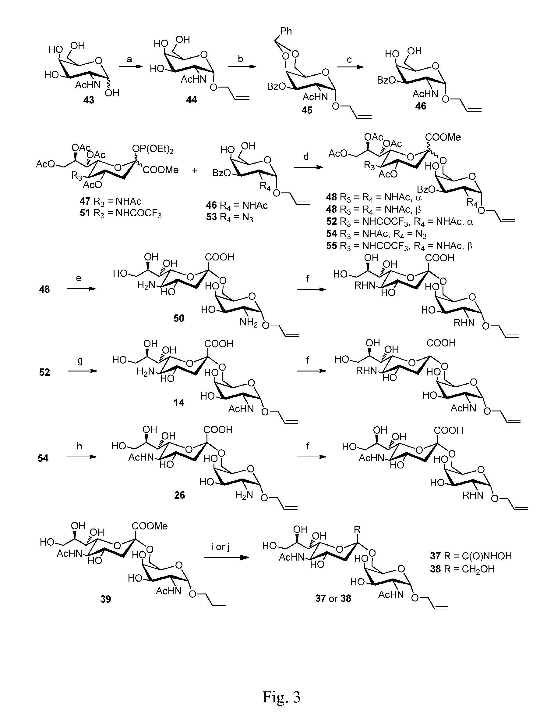 Sialic acid (a-(2-6))-d-aminopyranose derivatives, synthesis methods and uses thereof