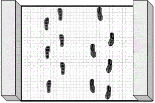 Entrance and exit people counting method and device for open scenes