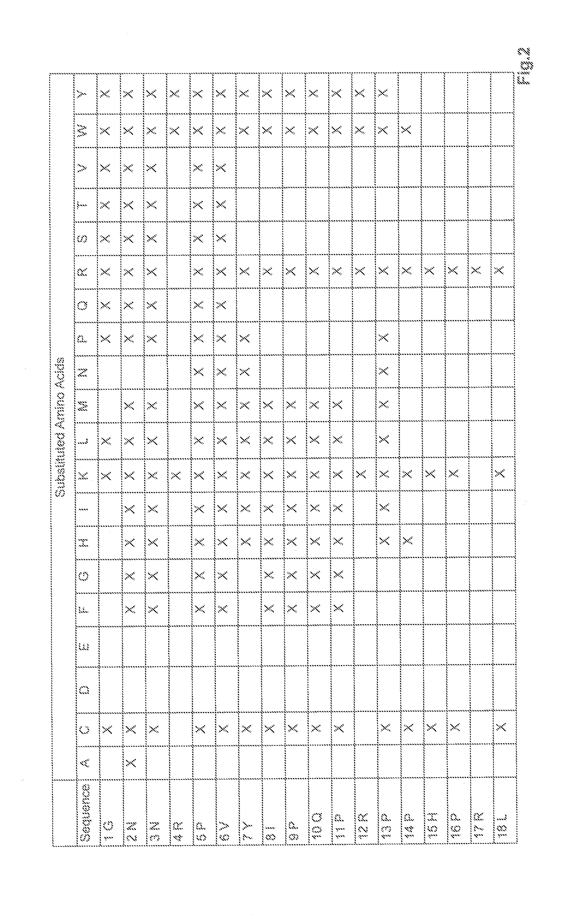 Modified apidaecin derivatives as antibiotic peptides